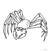 Sea spider