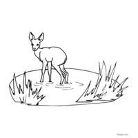 free doe coloring page