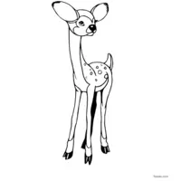 print and color a lovely doe