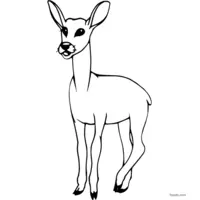 print and color this doe