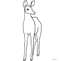 print this free doe coloring