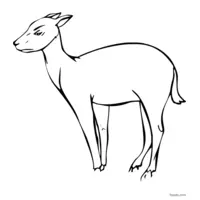 easy doe coloring page