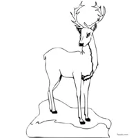 doe coloring page