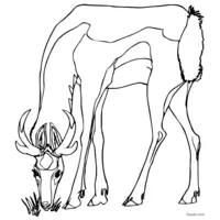 printable doe for kids