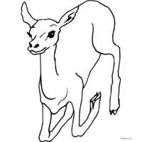 doe drawing for printing