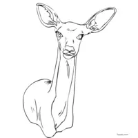 doe picture for printing