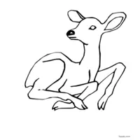 doe drawing to color