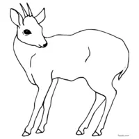 doe coloring page for kids