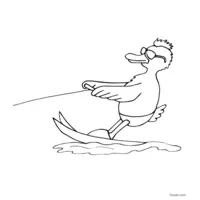 duck on water skis