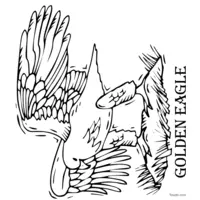 Coloring: Eagle spreading its wings