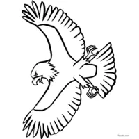 Coloring: Graceful flying eagle