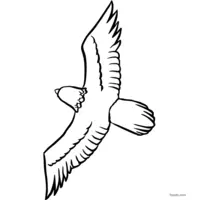 Coloring: Eagle in harmonious flight