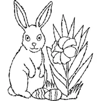 Easter coloring: Bunny and eggs