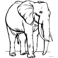 free printable elephant