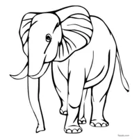 elephant image to print