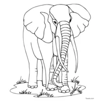 fun elephant coloring page