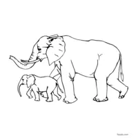 elephant drawing easy to print