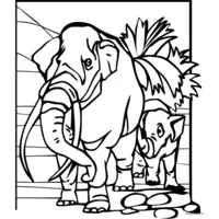 adorable elephant coloring page