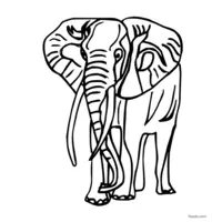 realistic elephant coloring sheet