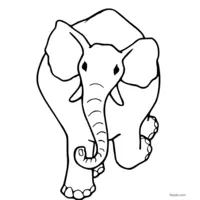 elephant sketch for coloring