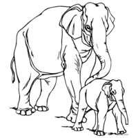 elephant coloring page to print