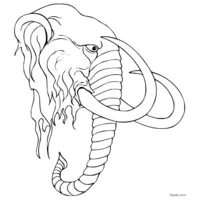 elephant to color