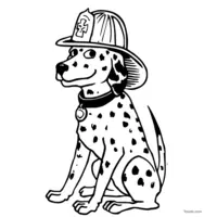 Dalmatian firefighter with helmet