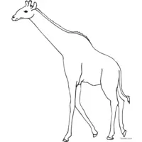 Black and white giraffe coloring page