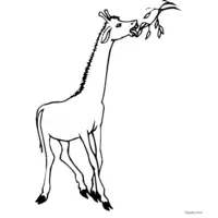 Giraffe GIF image to color after printing