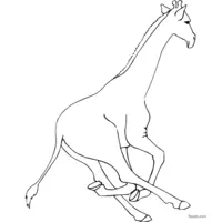 Free giraffe drawing to print