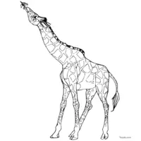 Giraffe GIF free to print and color