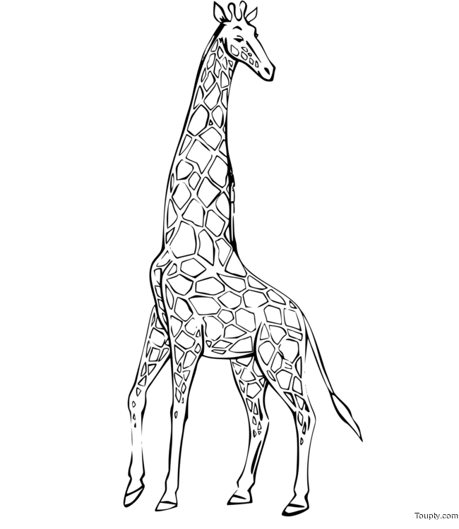 giraffe Page 21