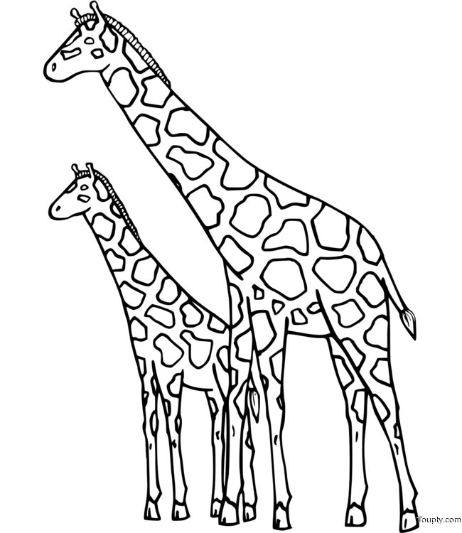 giraffe Page 3