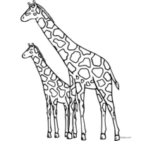 Giraffe sketch to color