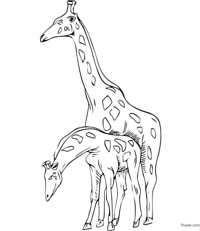 giraffe Page 6