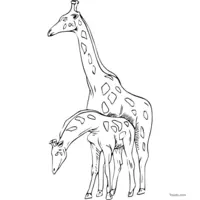 Giraffe clip art to print and color