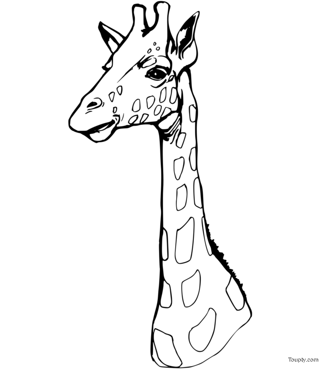 giraffe Page 8