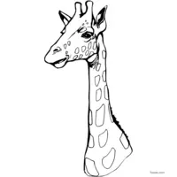 Giraffe image to color