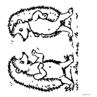 playful hedgehog children coloring