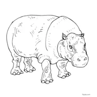 hippopotamus image to print and color