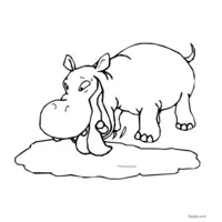 easy hippopotamus drawing for kids