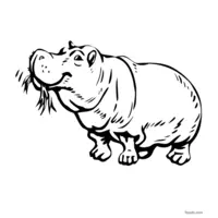 hippopotamus clipart for coloring