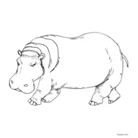 hippopotamus outline to print