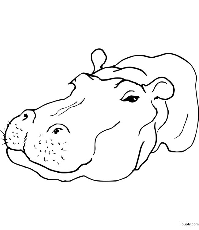 hippopotamus Page 5