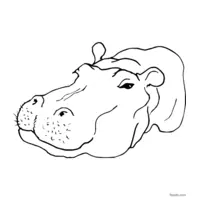 hippopotamus printable coloring page