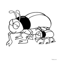 beetle coloring page