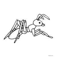 ant insect coloring page