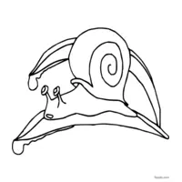 snail coloring page