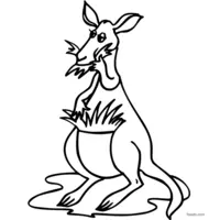 kangaroo sketch for coloring