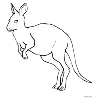 black and white kangaroo coloring page